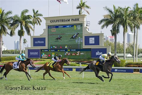 gulfstream races today